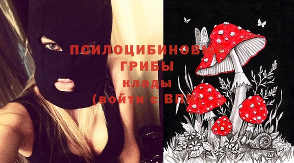 mdpv Вязьма