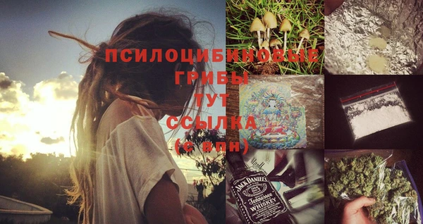 mdpv Вязьма